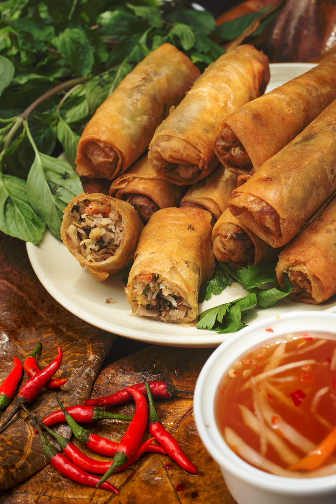 Fried Spring Rolls 